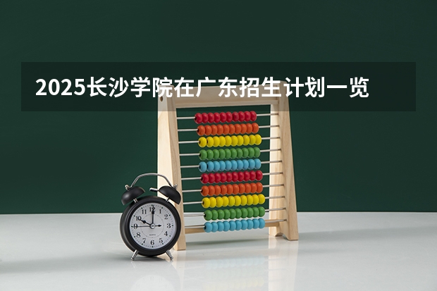 2025长沙学院在广东招生计划一览表