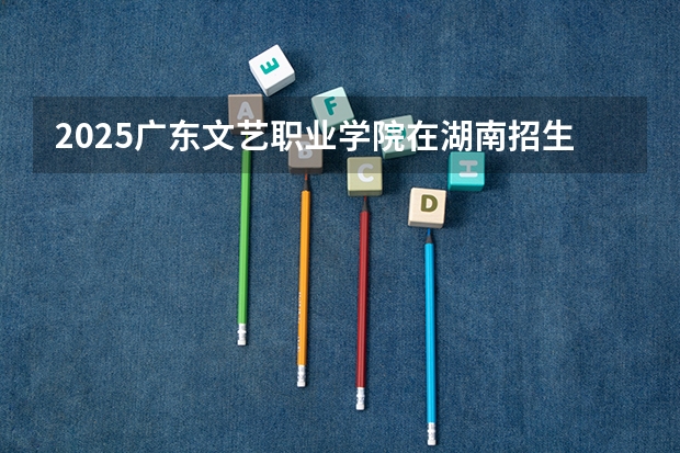 2025广东文艺职业学院在湖南招生计划一览表