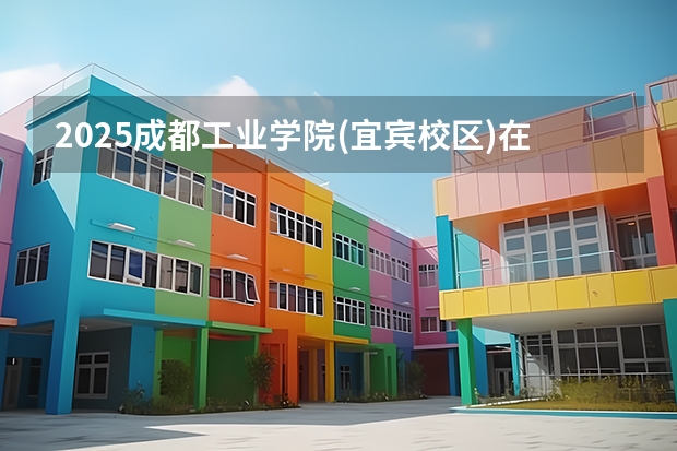 2025成都工业学院(宜宾校区)在四川招生计划一览表