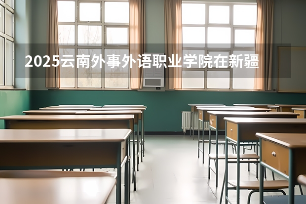 2025云南外事外语职业学院在新疆招生计划一览表
