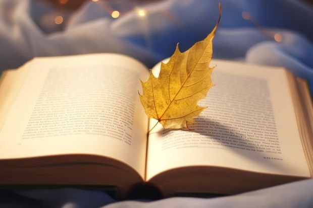 柳州师范学院录取分数线 柳州师范学院录取分数