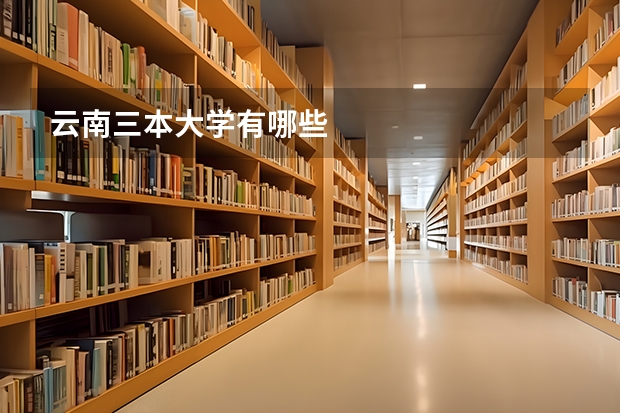 云南三本大学有哪些