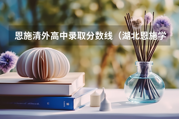 恩施清外高中录取分数线（湖北恩施学院录取分数线）