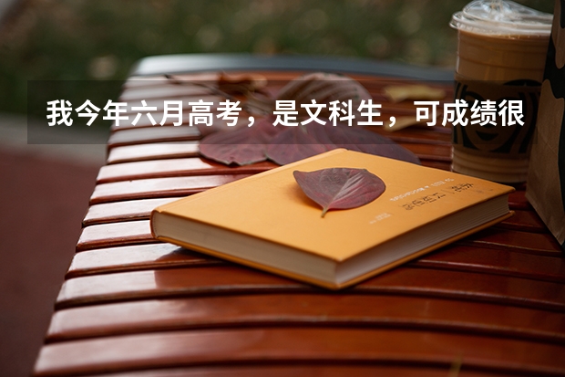 我今年六月高考，是文科生，可成绩很差，想学习政法专业，有可能进入济南市的哪所公办大学学习政法专业吗