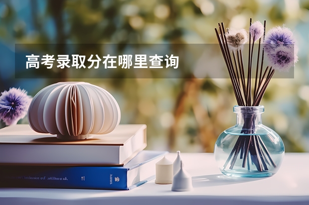 高考录取分在哪里查询
