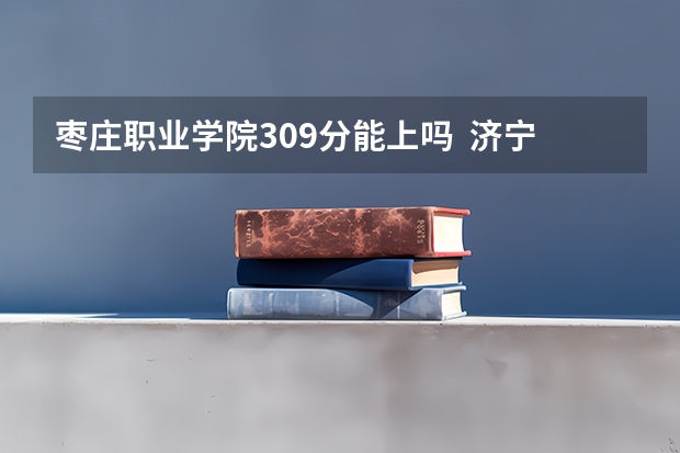 枣庄职业学院309分能上吗  济宁地区考生