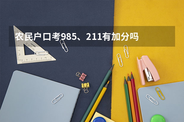 农民户口考985、211有加分吗