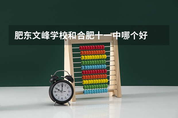 肥东文峰学校和合肥十一中哪个好
