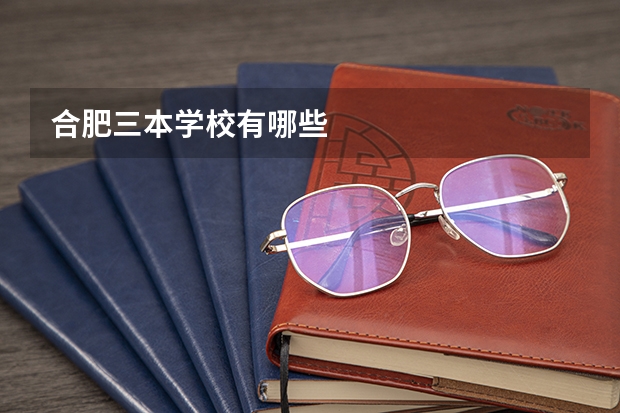 合肥三本学校有哪些