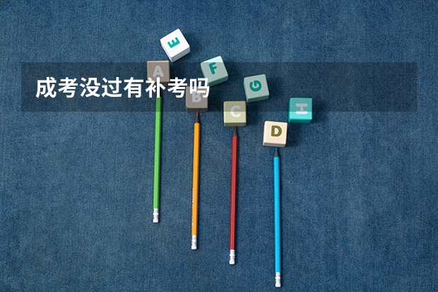 成考没过有补考吗