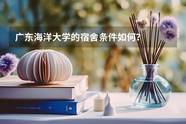 广东海洋大学的宿舍条件如何？