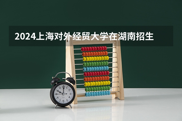2024上海对外经贸大学在湖南招生计划 招多少人