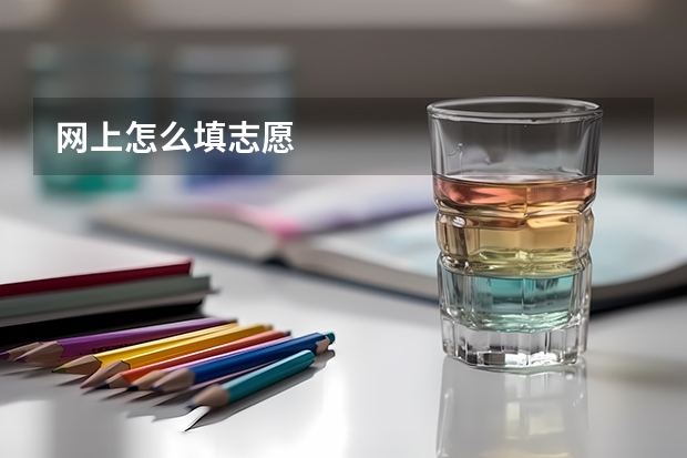 网上怎么填志愿