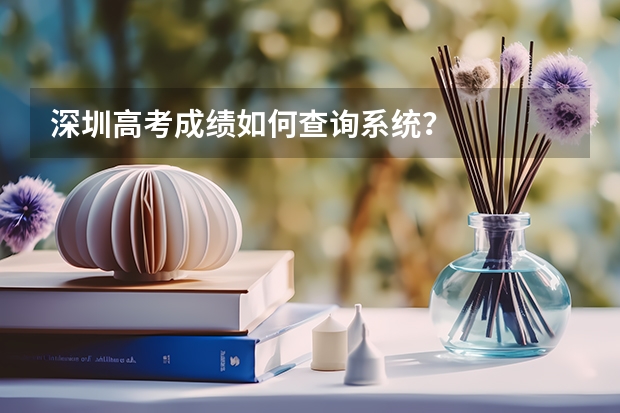 深圳高考成绩如何查询系统？