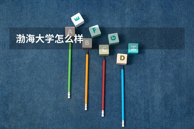 渤海大学怎么样