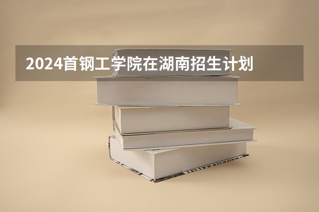 2024首钢工学院在湖南招生计划 招多少人