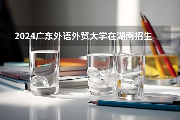 2024广东外语外贸大学在湖南招生计划 招多少人