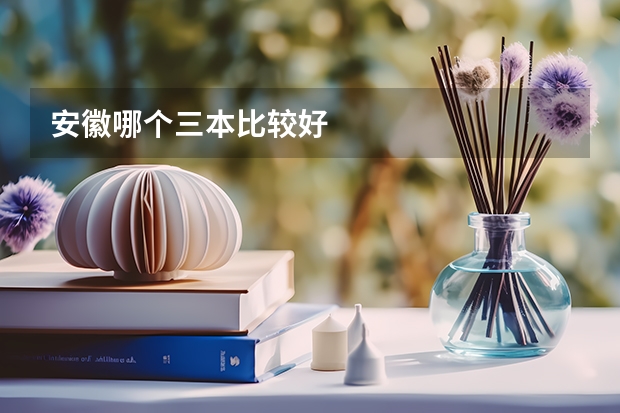 安徽哪个三本比较好