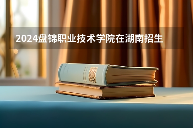 2024盘锦职业技术学院在湖南招生计划 招多少人
