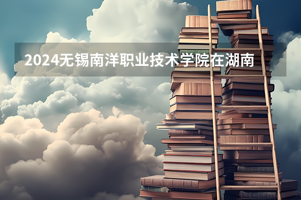 2024无锡南洋职业技术学院在湖南招生计划 招多少人