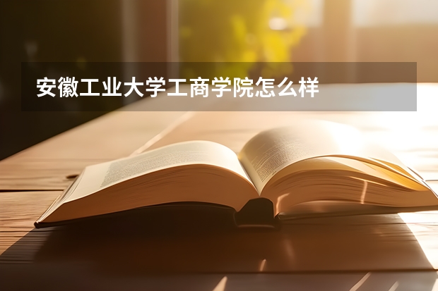 安徽工业大学工商学院怎么样