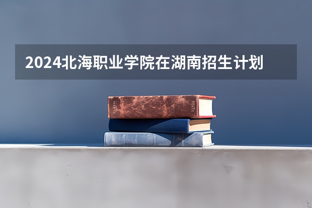 2024北海职业学院在湖南招生计划 招多少人