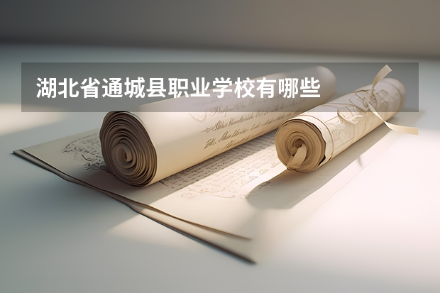 湖北省通城县职业学校有哪些