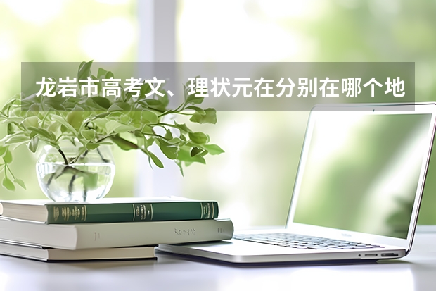 龙岩市高考文、理状元在分别在哪个地区,分别叫什么名字？