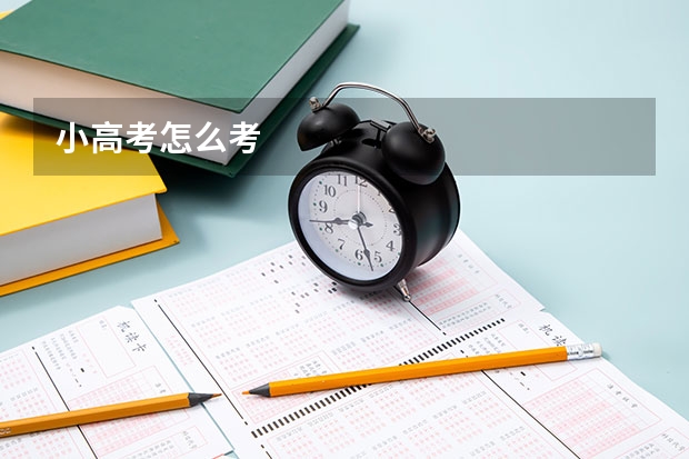 小高考怎么考