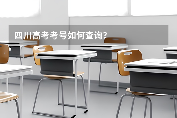 四川高考考号如何查询？