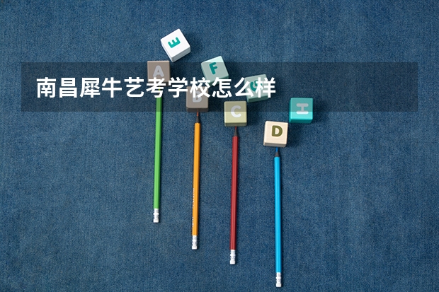 南昌犀牛艺考学校怎么样