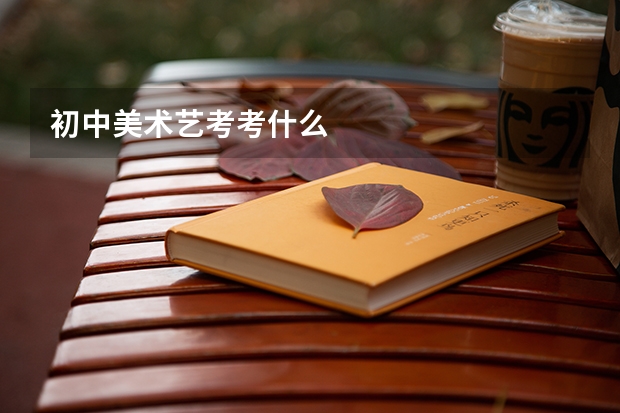 初中美术艺考考什么