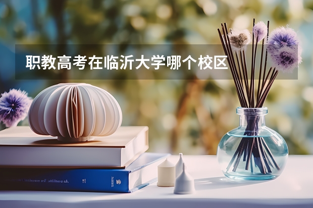 职教高考在临沂大学哪个校区