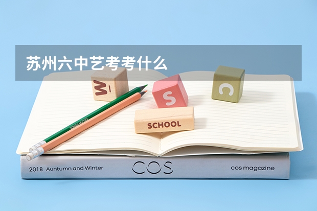 苏州六中艺考考什么