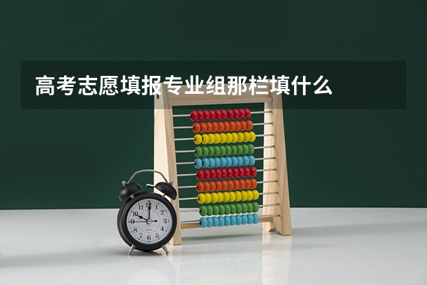 高考志愿填报专业组那栏填什么