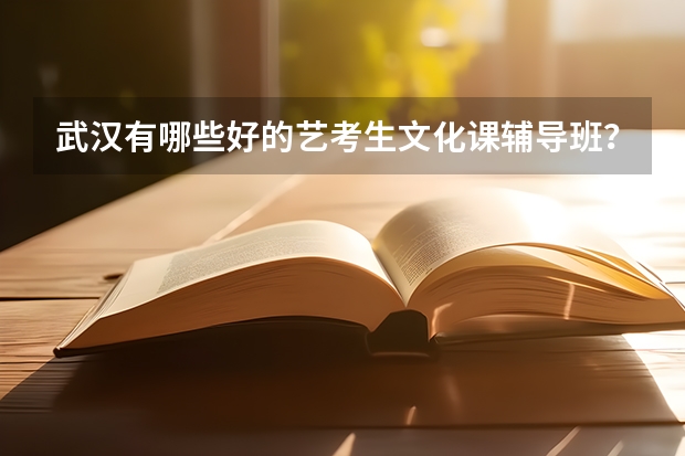 武汉有哪些好的艺考生文化课辅导班？辅导效果怎么样？