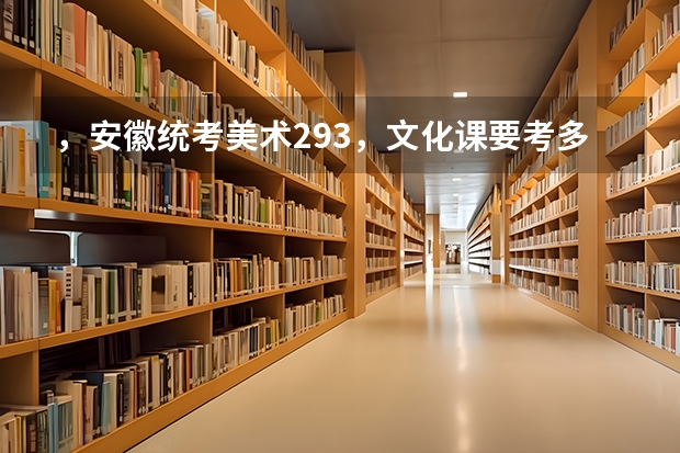 ，安徽统考美术293，文化课要考多少分才能上一本？