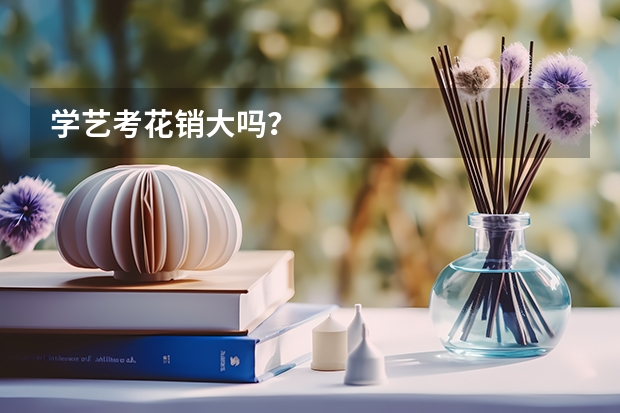 学艺考花销大吗？