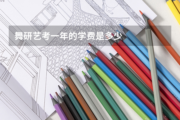 舞研艺考一年的学费是多少