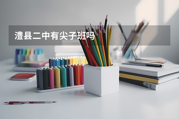 澧县二中有尖子班吗