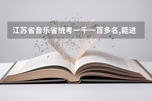 江苏省音乐省统考一千一百多名,能进什么学校？