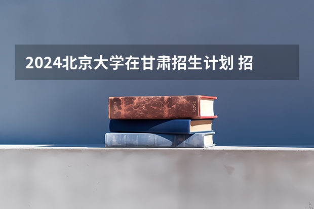 2024北京大学在甘肃招生计划 招多少人