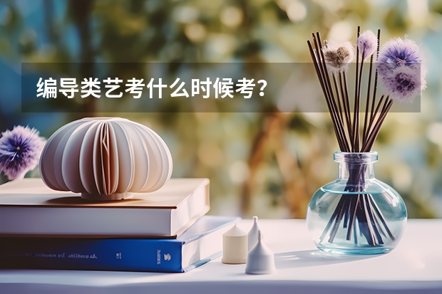 编导类艺考什么时候考？