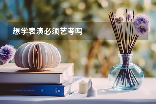 想学表演必须艺考吗