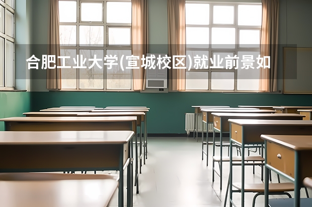 合肥工业大学(宣城校区)就业前景如何？