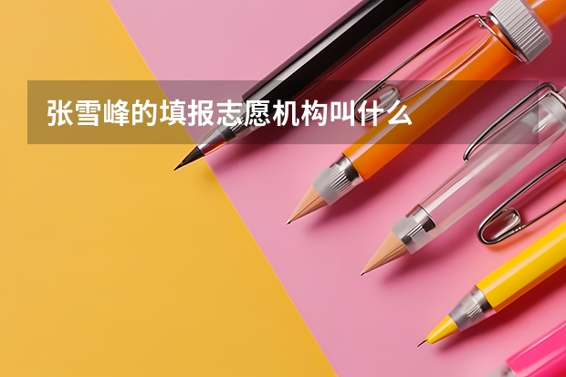 张雪峰的填报志愿机构叫什么