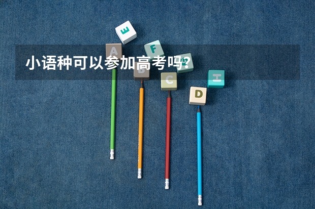 小语种可以参加高考吗？