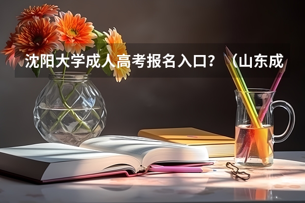 沈阳大学成人高考报名入口？（山东成人高考报名在哪儿报？）