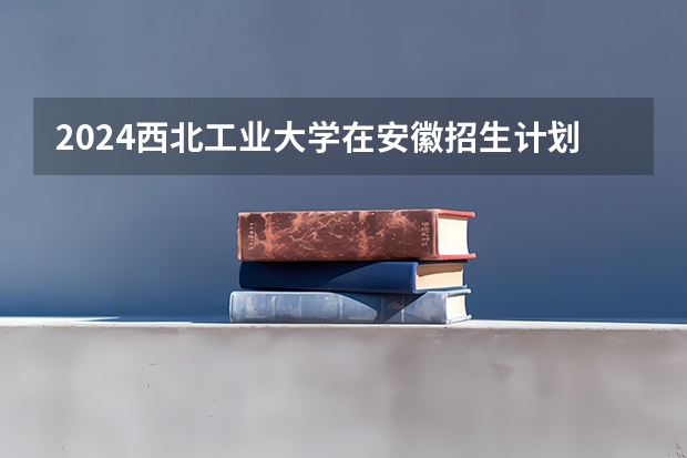 2024西北工业大学在安徽招生计划 招多少人