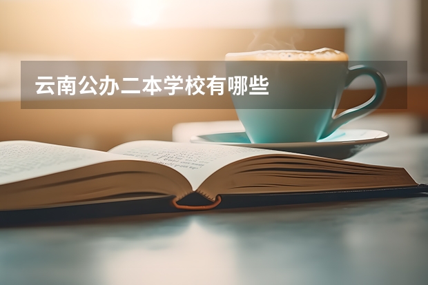 云南公办二本学校有哪些